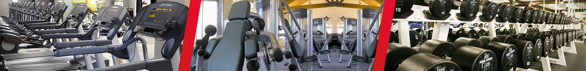 Musculation et poids libres